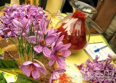 藏红花不只是美容养颜，还能治多种病，你不一定知道！