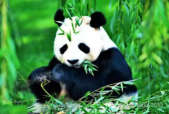 點擊圖片進入下一頁