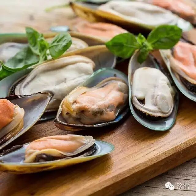 新西兰青口贝:幸会,大洋洲的尤物们!