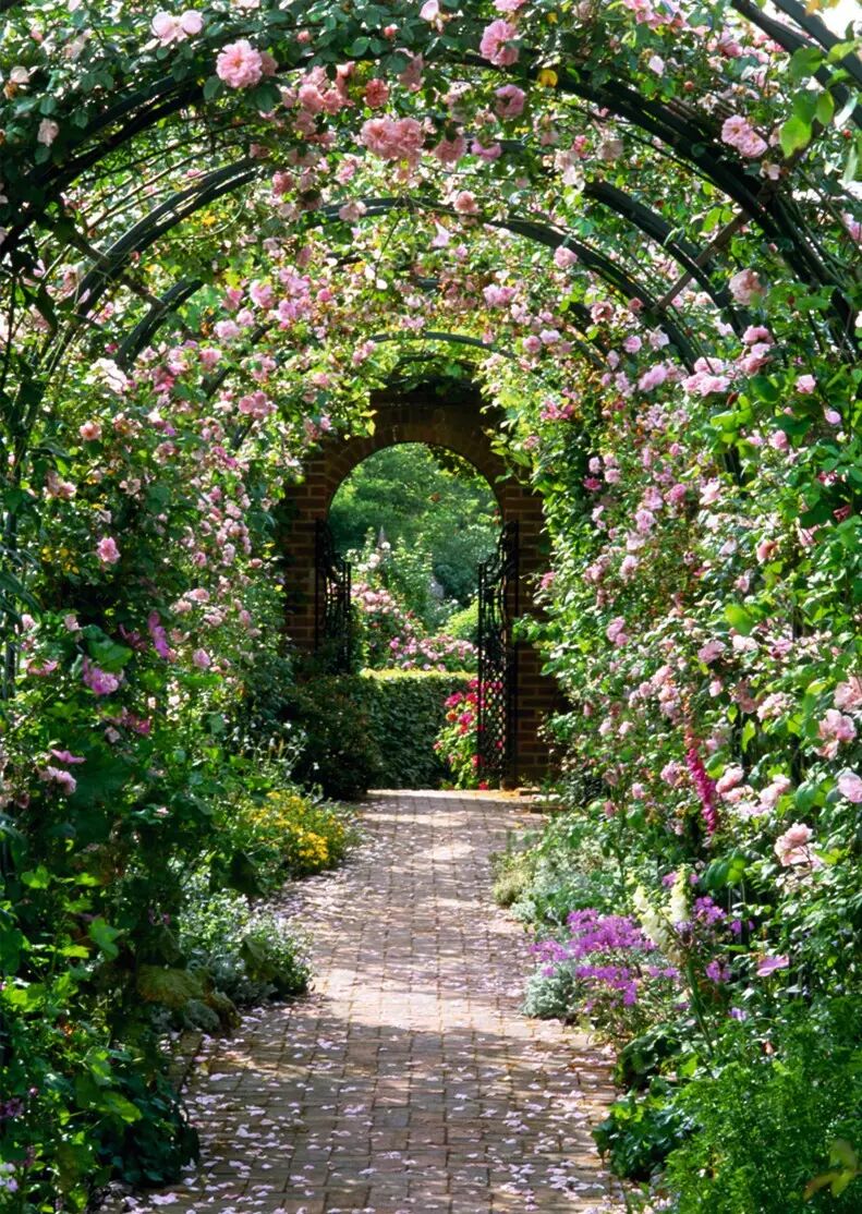 夏季花园设计应该怎么做