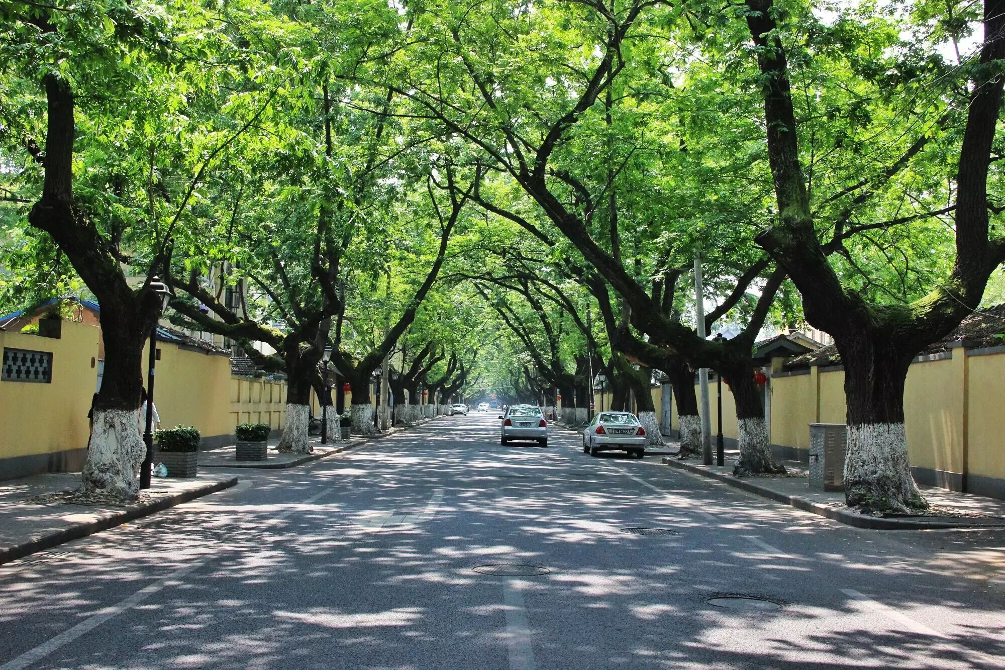 七夕情人节——南京潘西九大约会圣地