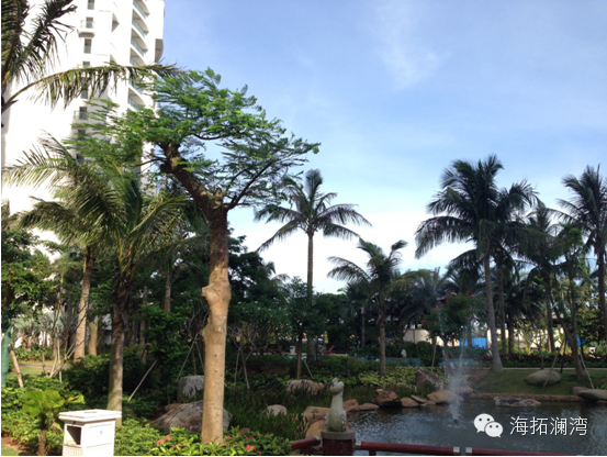 海南频出房产新政,海景房卖一间少一间.