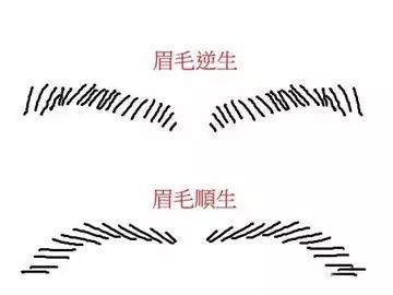 怎樣看眉毛,什麼是眉散眉亂眉破 ?-面相與命運公眾號