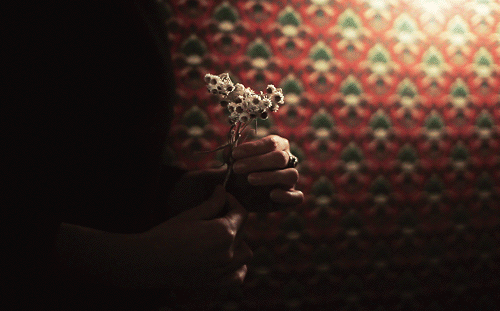 京东物流加盟官网乡镇代理_京东物流加盟条件及费用_京东物流加盟