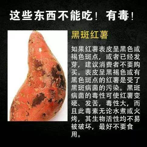 ⑤黑斑红薯毒性大