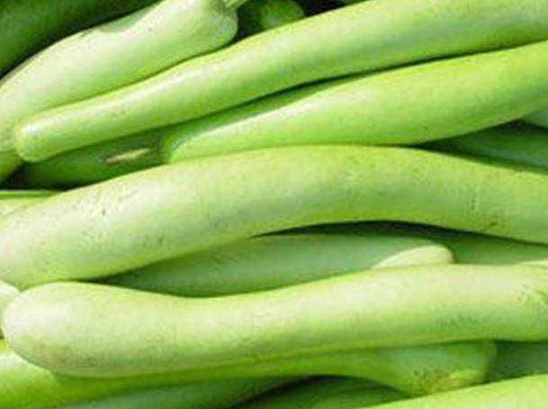 【北京疾控提醒您】"苦瓠(hù)子"千万不能吃