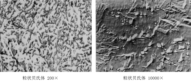 马氏体、奥氏体、珠光体，20种材料彩色金相！的图28