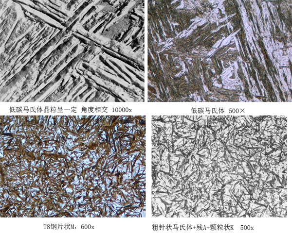 马氏体、奥氏体、珠光体，20种材料彩色金相！的图30