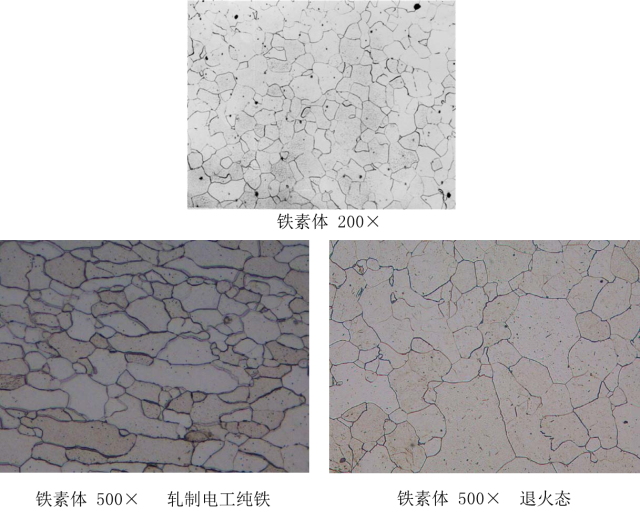 马氏体、奥氏体、珠光体，20种材料彩色金相！的图23