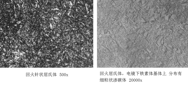 马氏体、奥氏体、珠光体，20种材料彩色金相！的图33