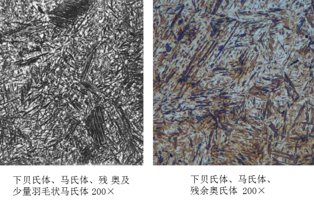 马氏体、奥氏体、珠光体，20种材料彩色金相！的图27