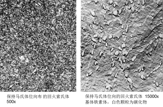 马氏体、奥氏体、珠光体，20种材料彩色金相！的图34