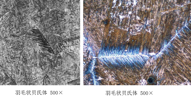 马氏体、奥氏体、珠光体，20种材料彩色金相！的图26
