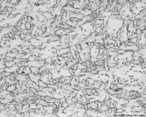 马氏体、奥氏体、珠光体，20种材料彩色金相！的图29