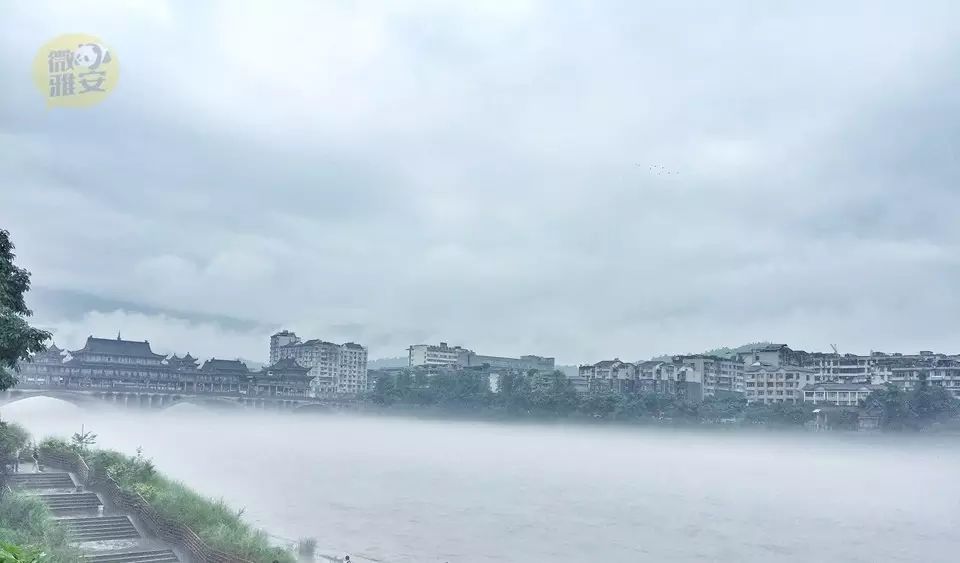 雅安雨图片