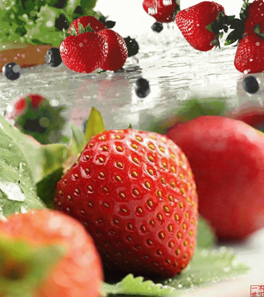 夏天为什么吃这些水果99的人都不知道