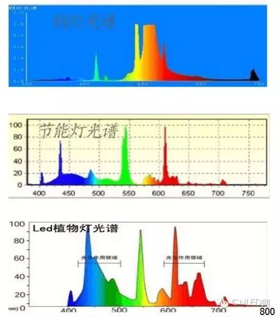 拓展：LED植物灯、全光谱植物生长灯的特点与优势--来自测试的文章