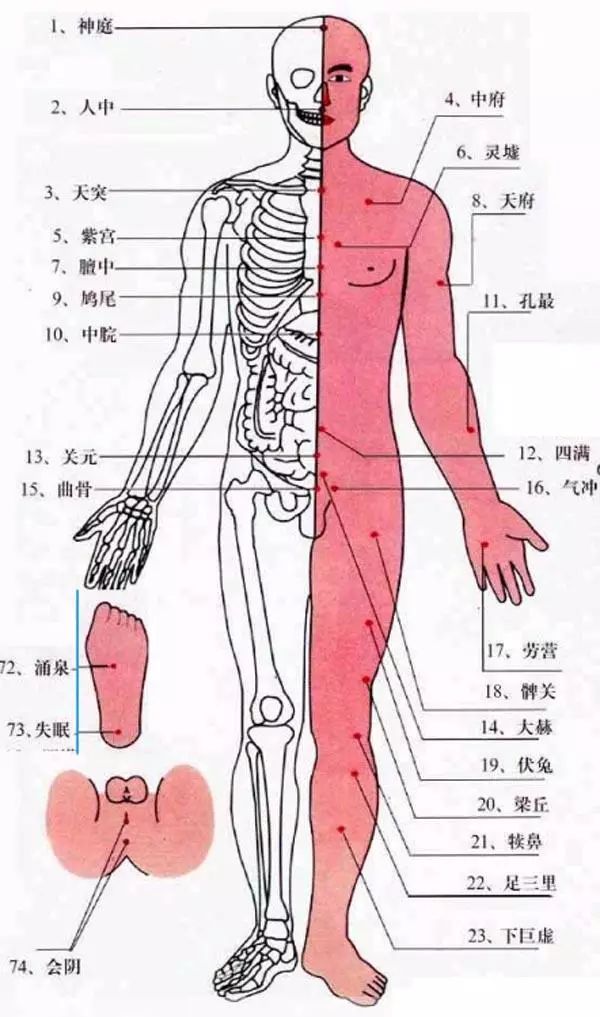 针灸二十六种刺法，你知道几种？