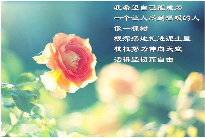 做一个让人感到温暖的人