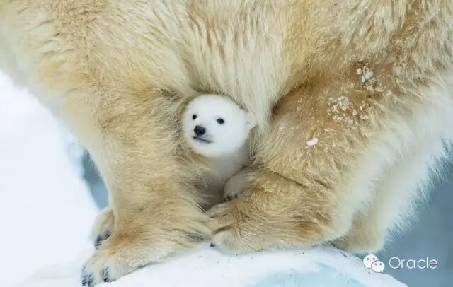 640?wx_fmt=jpeg&tp=webp&wxfrom=5&wx_lazy