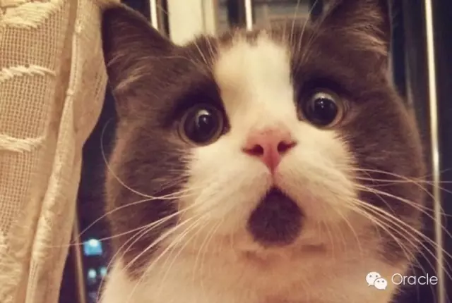 640?wx_fmt=jpeg&tp=webp&wxfrom=5