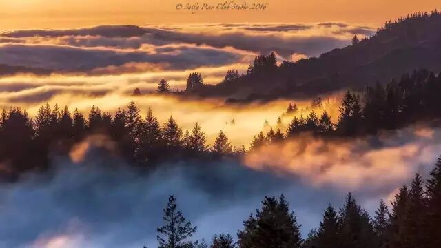 640?wx_fmt=jpeg&tp=webp&wxfrom=5&wx_lazy