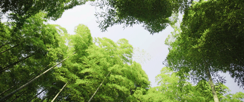 这样的念头越来越频繁和清晰,于是我找到了我那帮大学的好哥们.