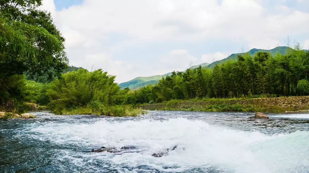 一群浙大建筑系毕业的学霸,漂泊之后回到江南,造了座与飞鸟山水竹林为