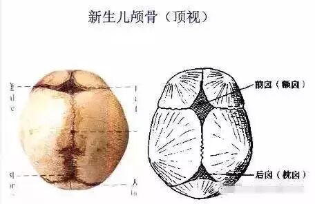 【健康生活呵呵】男人补肾真正需要的6种食物