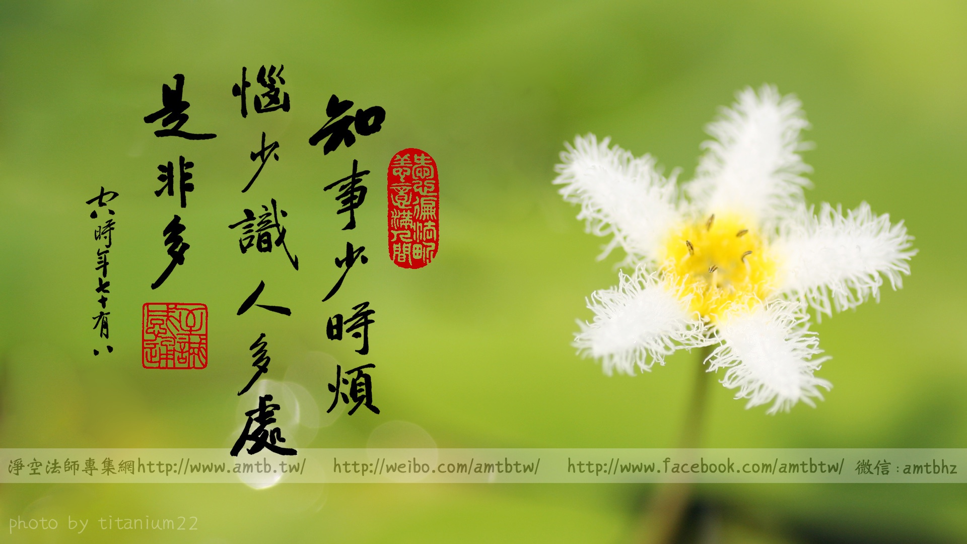 学佛的著重点_必知 - ┣◇儒释道 - ╋艺 镇╋ 致力于美的传播与延续