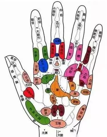 手掌对应器官全解哪不舒服就按哪推荐