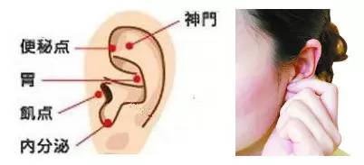 临床上，早死的人大都脾胃虚，为什么？