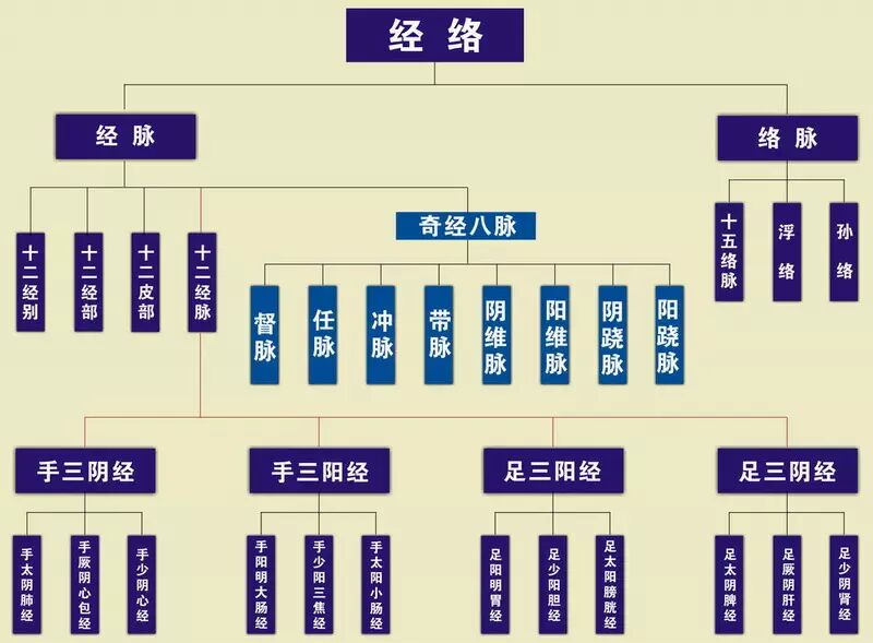 与人的生存,疾病的形成,以及人的健康,疾病的痊愈,都有着密切的关系