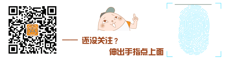 长得像青蛇一样的瓜 会长很长很长 开花非常惊艳 十分养眼 爱梦创意生活 微信公众号文章阅读 Wemp