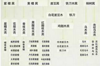 八种黑酸枝木的特征与鉴别