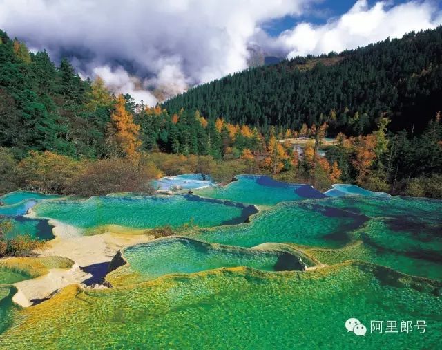 四川--(成都,都江堰,九寨溝,松潘古城,樂山, 峨眉山)重慶 香港,澳門