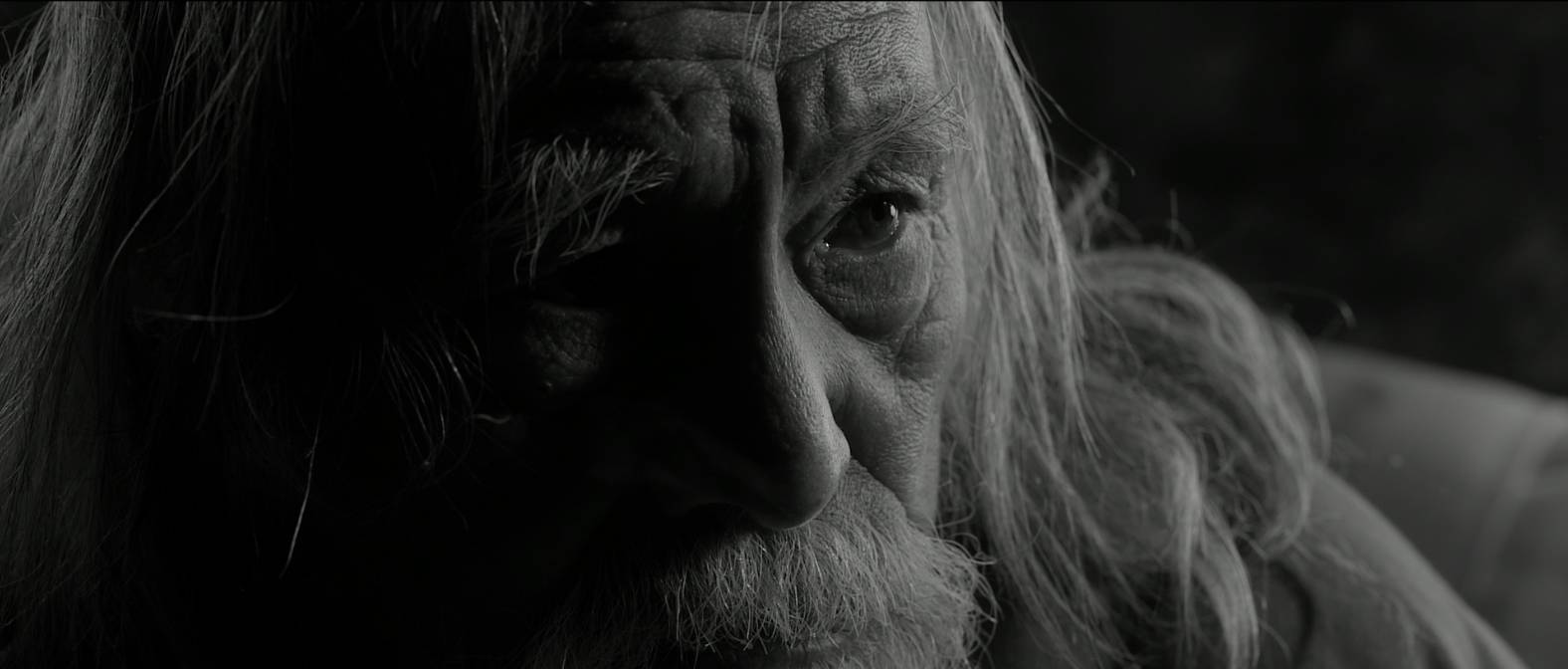 厮杀开始,这才是暑期档该有的热度丨周末看电影