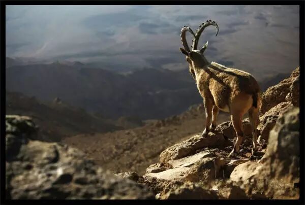 这才是真相！好多人都误信了，请不要再误传了！