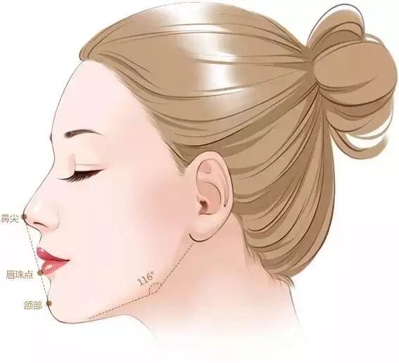 直面型的人一般比较漂亮,鼻尖,下唇唇红,颏前点基本在一条线上.