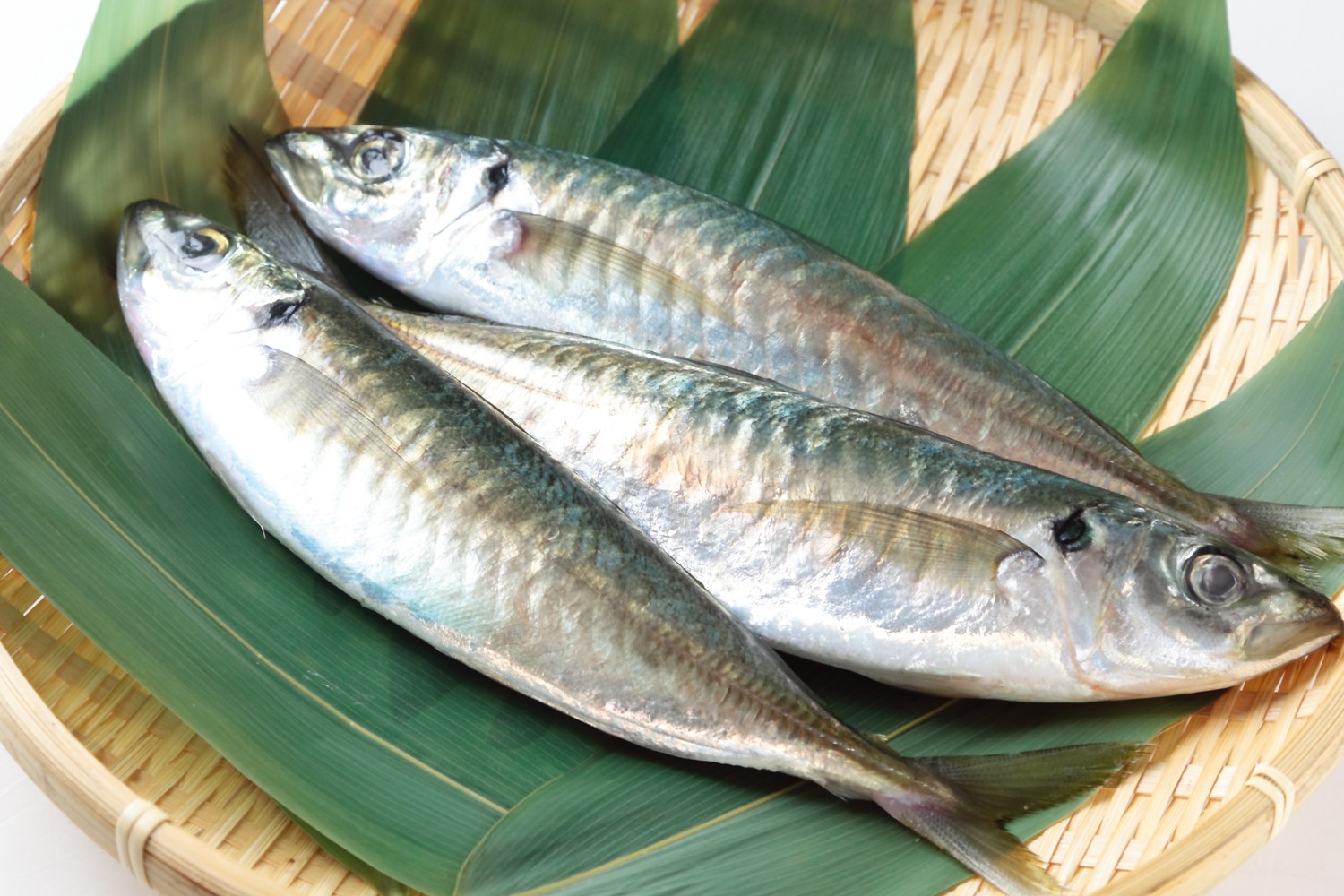 12.あわび(鲍鱼)13.なまこ(海参)14.いせえび(日本龙虾)15.