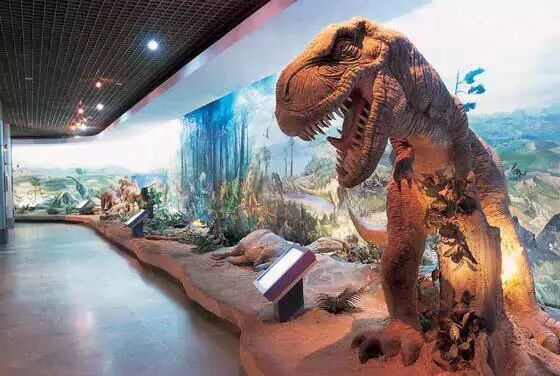 全纳北京心智成长冬令营_全纳优童官方网站-感统训练