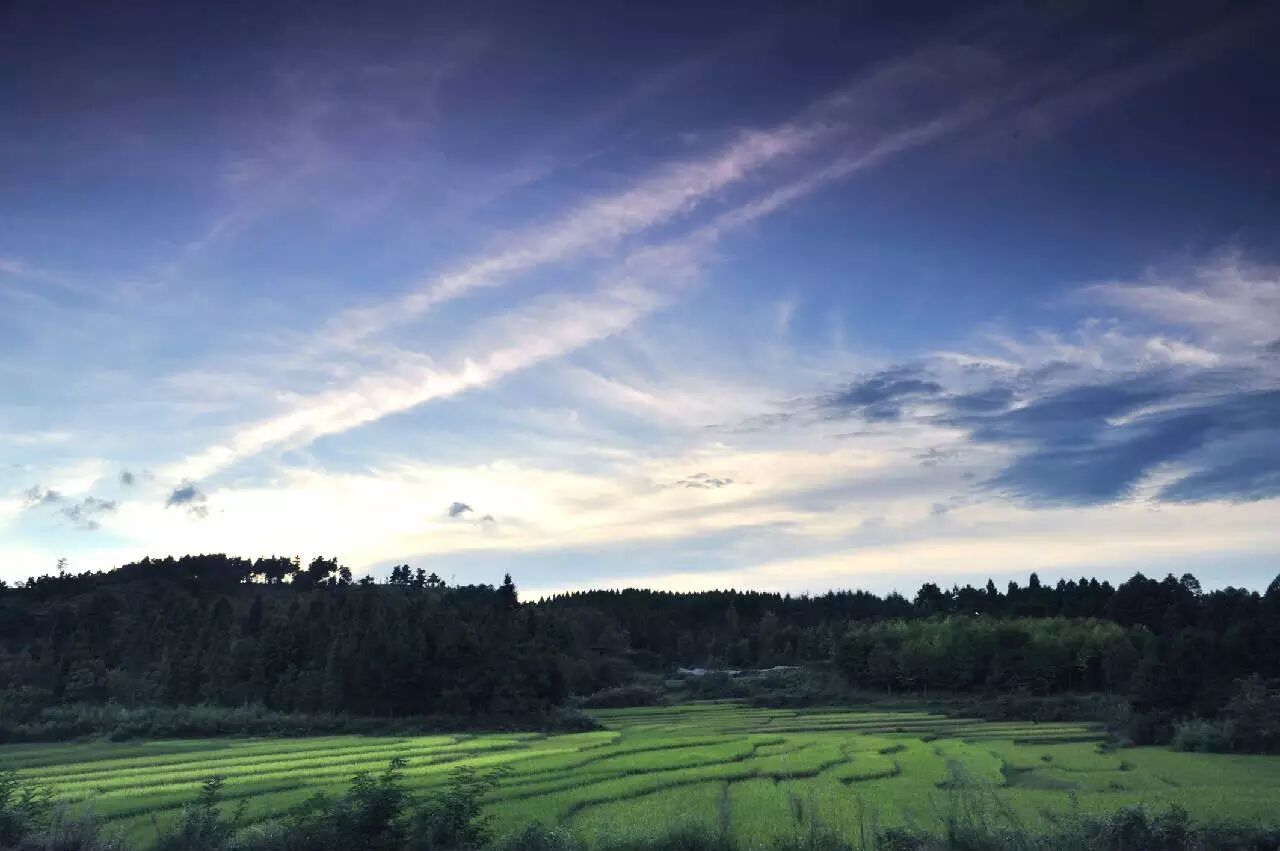 《魅力龙架山绿色生态园》——贵州省直机关工会建立省直机关职工生态