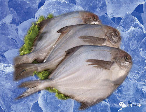 100种餐馆常见的海鲜鱼类食材