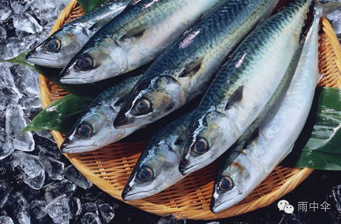100种餐馆常见的海鲜鱼类食材