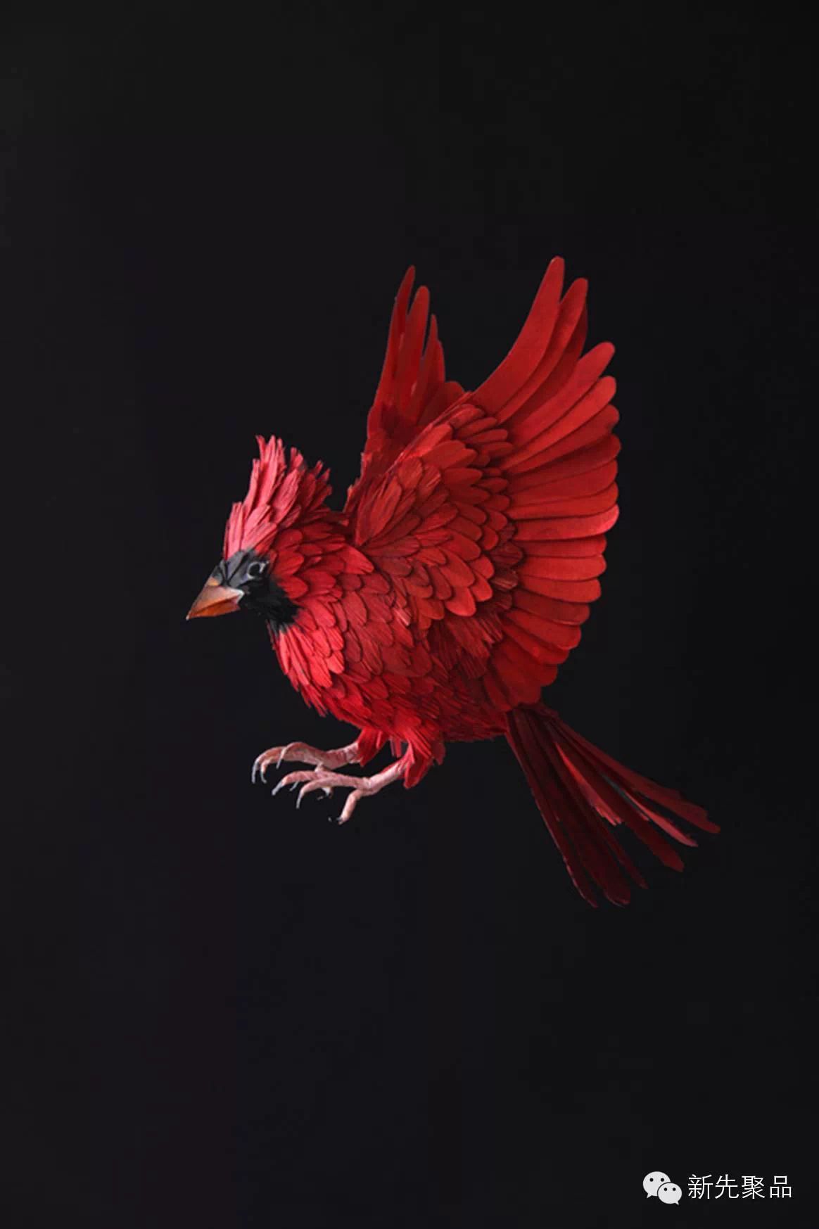 苍鹭阿拉斯加松鸡特拉华蓝鸡蒙大拿西美野云雀北达科他州的西部野云雀