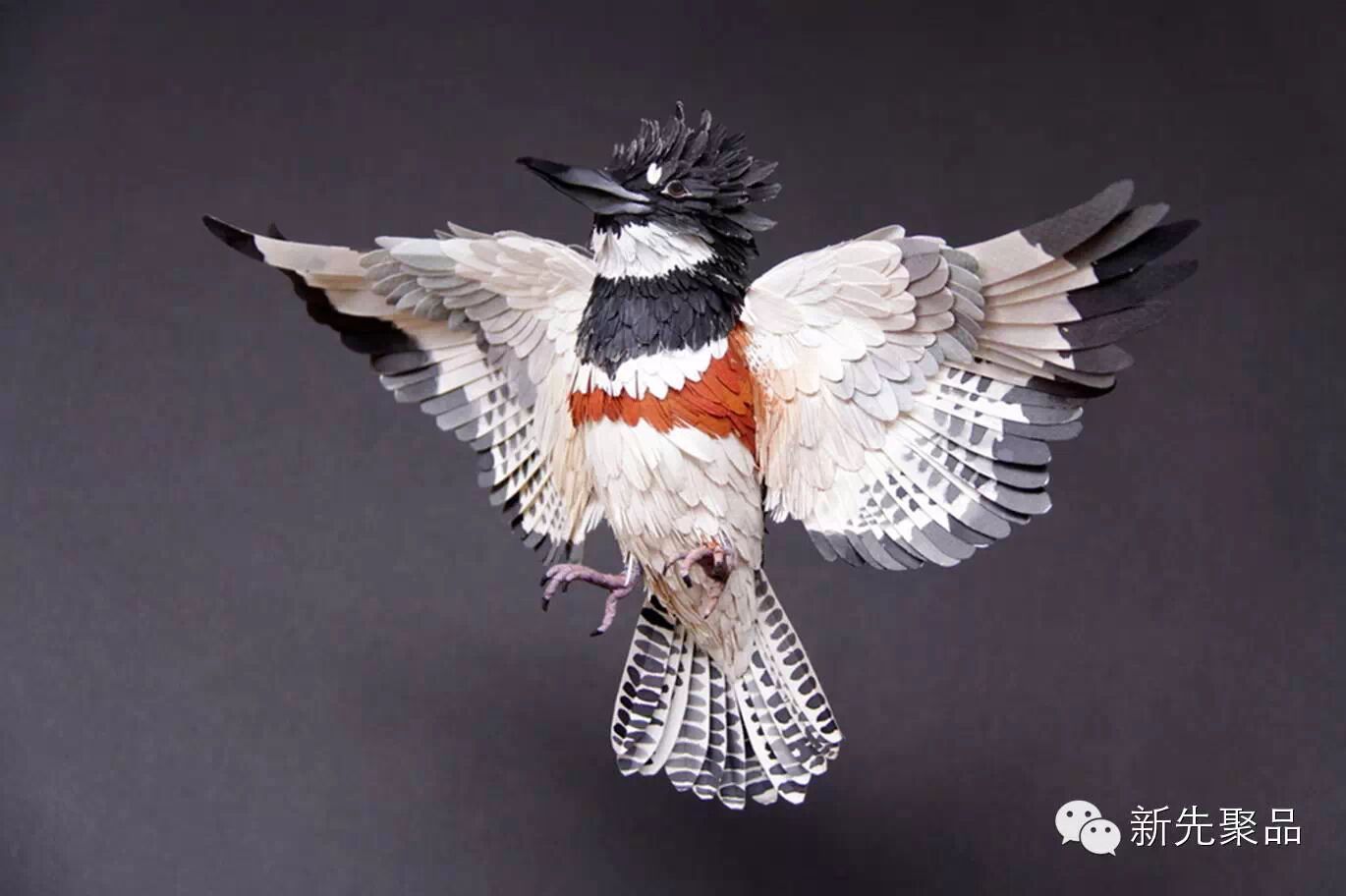 纸做的鸟竟美的如此逼真