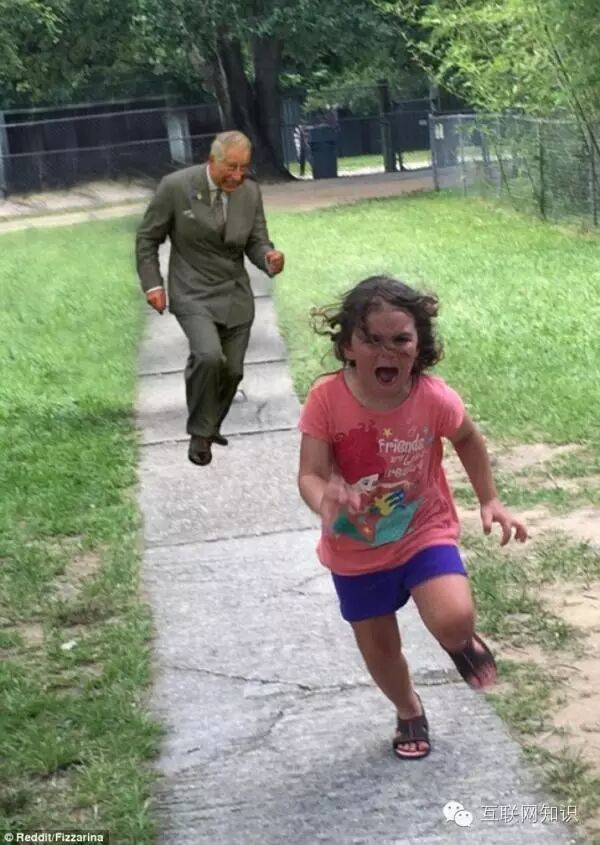 女孩被孔雀吓逃跑又被神级网友恶搞