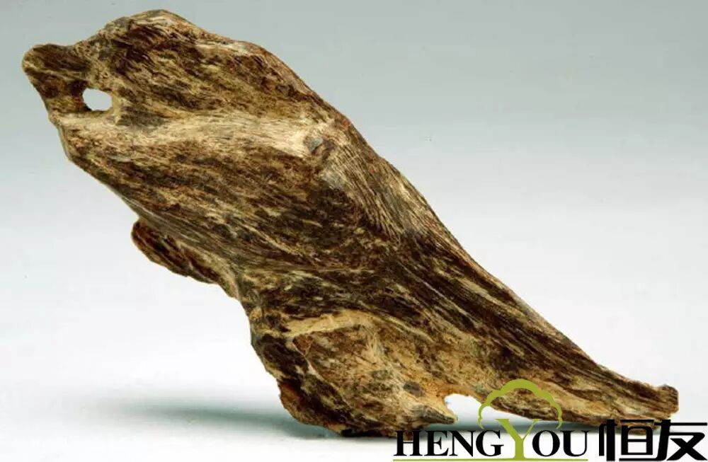 世界上最贵的木头比黄金贵几十倍