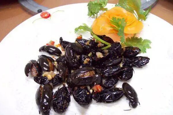 龙虱养殖骗局称利润100%