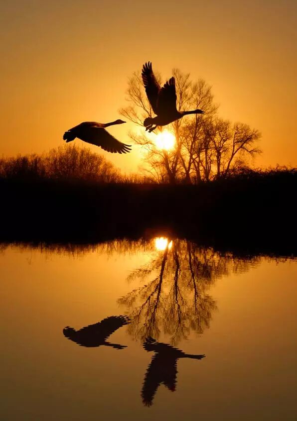 放空心灵的美影中复影